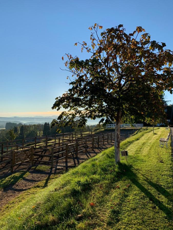 Apartmán Gut Buchenhof Buchenberg  Exteriér fotografie