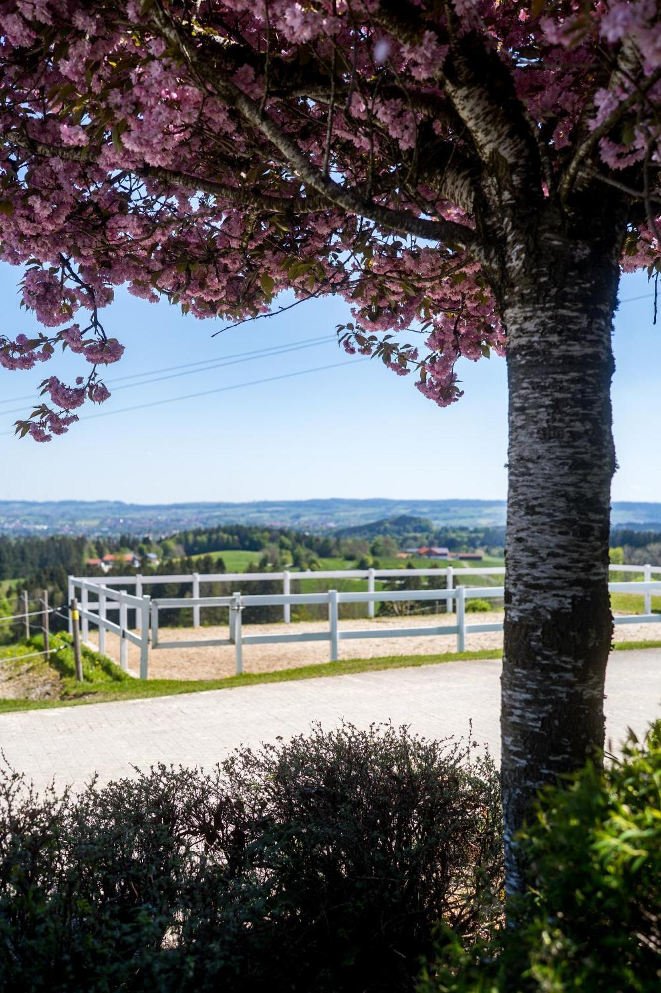 Apartmán Gut Buchenhof Buchenberg  Exteriér fotografie